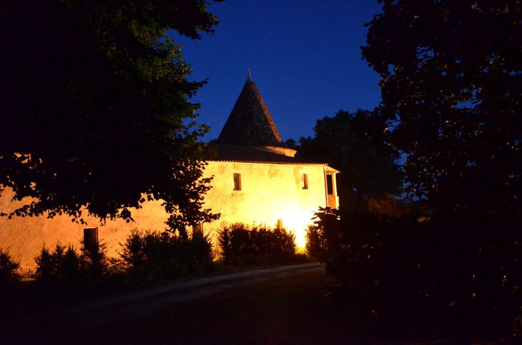 Bed and Breakfast Chateau De Puyrigaud Leoville Экстерьер фото
